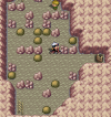 File:Johto Safari Zone.jpg - Pokemon World Online Wiki