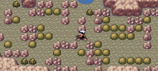 File:Johto Safari Zone.jpg - Pokemon World Online Wiki