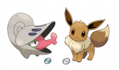 eevee and shelmate.png