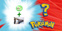 wp14.png