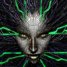 shodan21