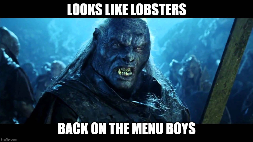 6sjalf.jpg
